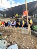 โครงการเศรษฐกิจพอเพียงชุมชนตามแนวพระราชดำริ ประจำปีงบประมาณ